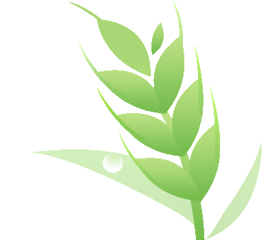 4月20日开幕!鸠山镇第六届槐花文化旅游节邀您前往 4月20日开幕!鸠山镇第六届槐花文化旅游节邀您前往