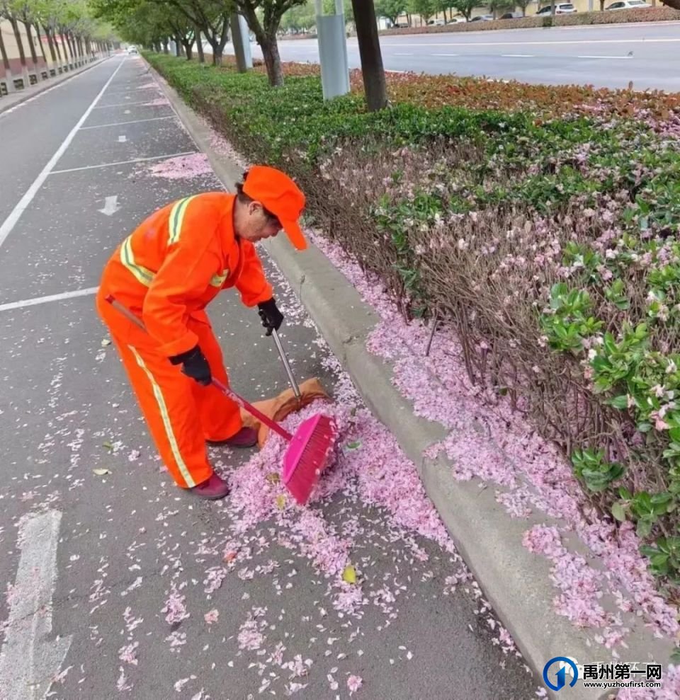 禹州环卫:开展爱国卫生运动 扮靓人居生活环境 禹州环卫:开展爱国卫生运动 扮靓人居生活环境