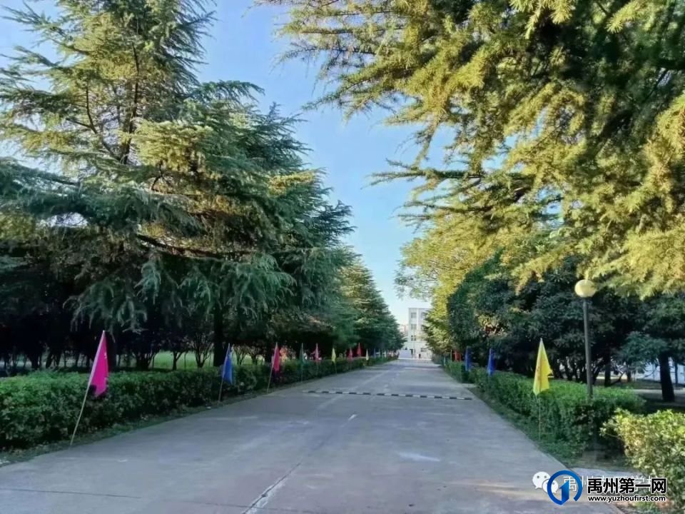 禹州南区学校诚聘优秀教师 禹州南区学校诚聘优秀教师