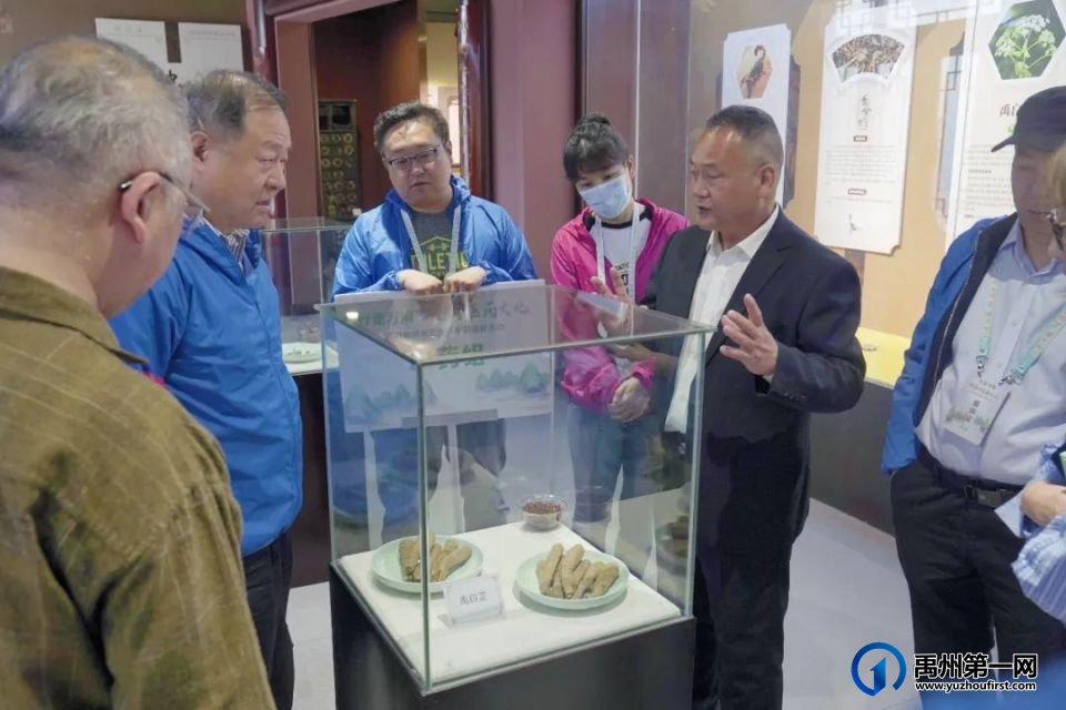 寻香而来!全国各地的记者齐聚“药都”禹州 寻香而来!全国各地的记者齐聚“药都”禹州