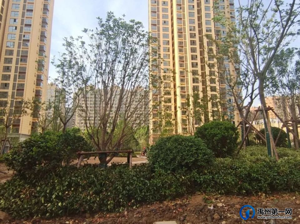 禹州新龙华庭5月工程进度播报 禹州新龙华庭5月工程进度播报
