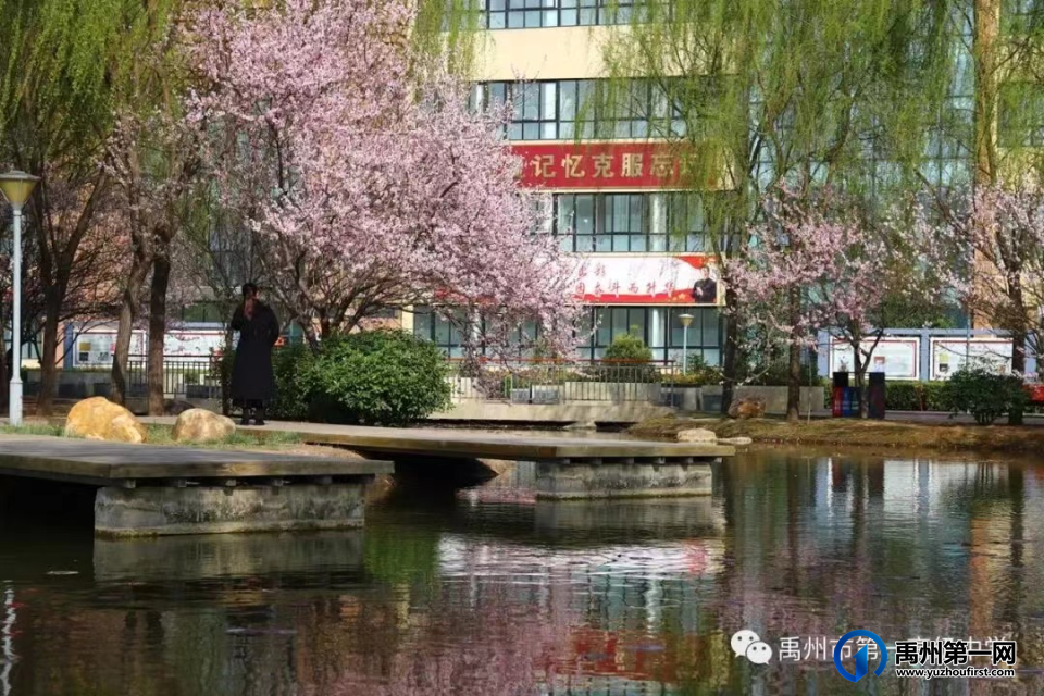 禹州市第一高级中学 禹州市第一高级中学