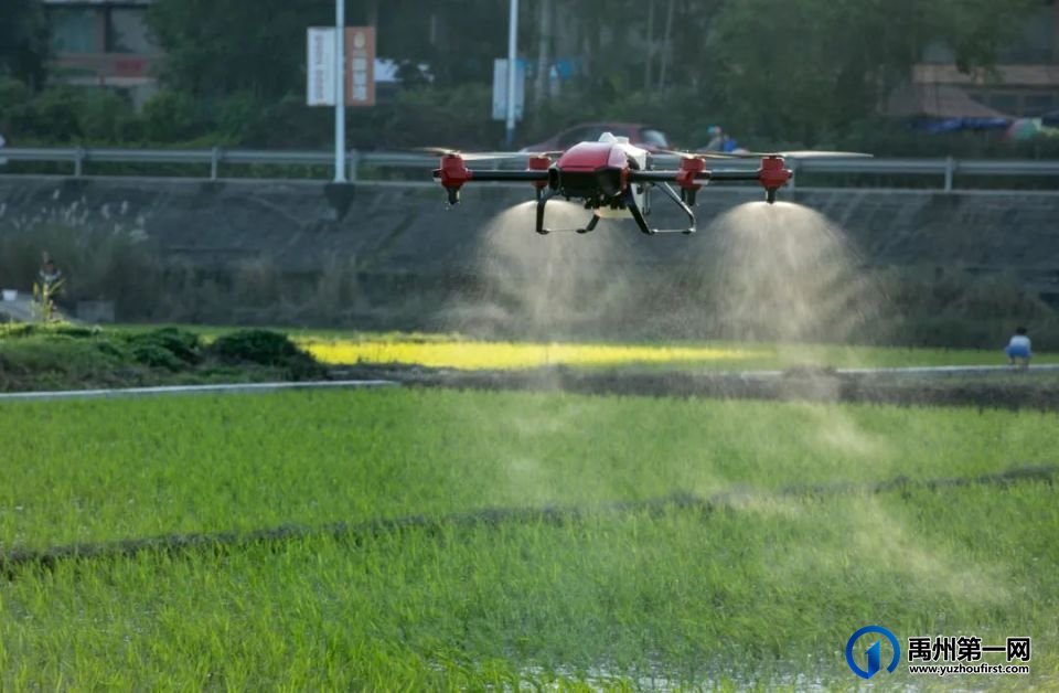 禹州市入选2023年全省农业科技引领优势产业发展试点县 禹州市入选2023年全省农业科技引领优势产业发展试点县