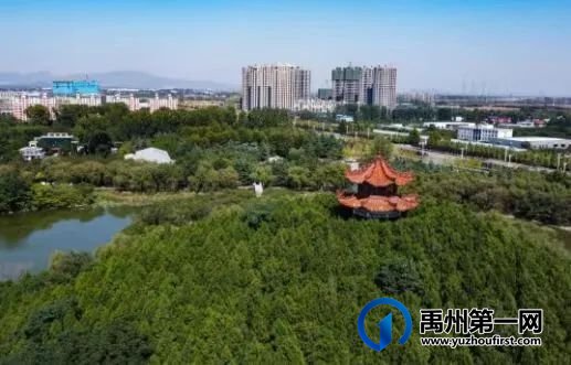 禹州恒达金郡 | 818心动购房节,15套特价房限时秒杀 禹州恒达金郡 | 818心动购房节,15套特价房限时秒杀