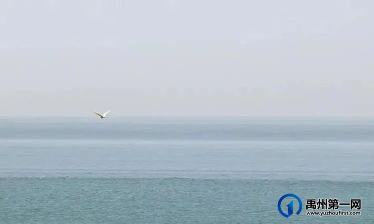极品汝窑 极品汝窑