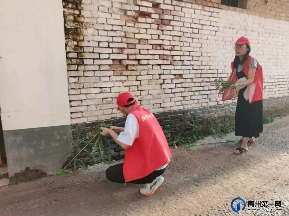 禹州中专积极开展背街小巷创文工作 禹州中专积极开展背街小巷创文工作