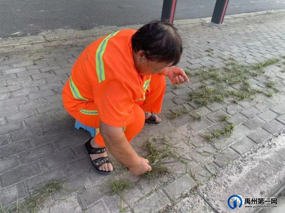 禹州环卫:多措并举提质量 齐心协力助创卫 禹州环卫:多措并举提质量 齐心协力助创卫