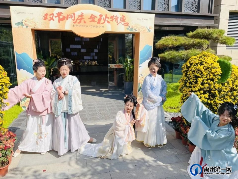 美翻了!禹州菊花展! 美翻了!禹州菊花展!