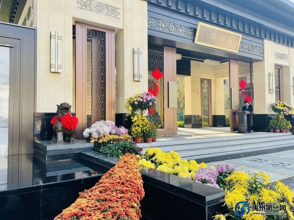 美翻了!禹州菊花展! 美翻了!禹州菊花展!