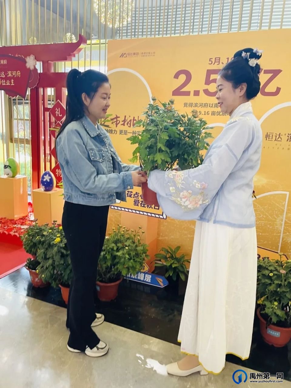 美翻了!禹州菊花展! 美翻了!禹州菊花展!