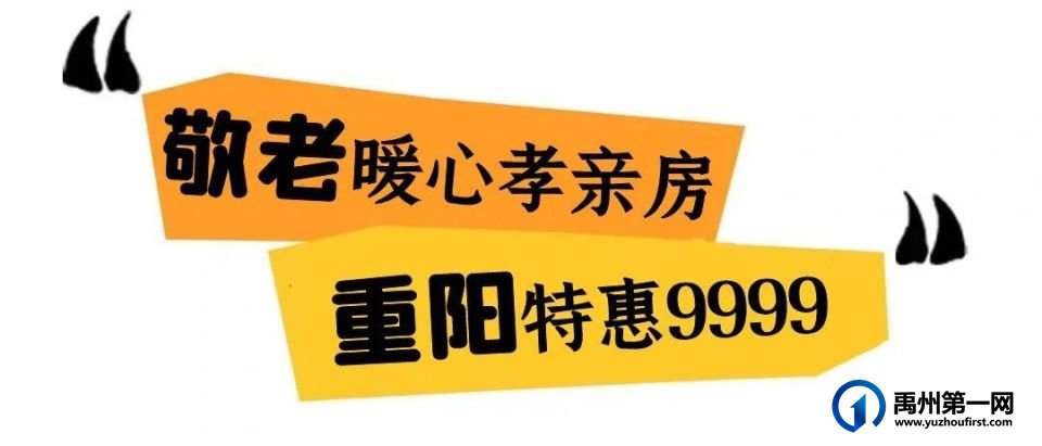 美翻了!禹州菊花展! 美翻了!禹州菊花展!