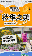 美翻了！禹州菊花展！