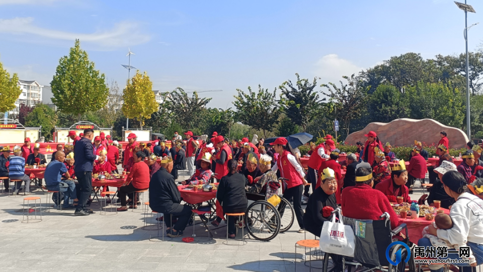 喜迎九九重阳节,禹州开满幸福花! 喜迎九九重阳节,禹州开满幸福花!