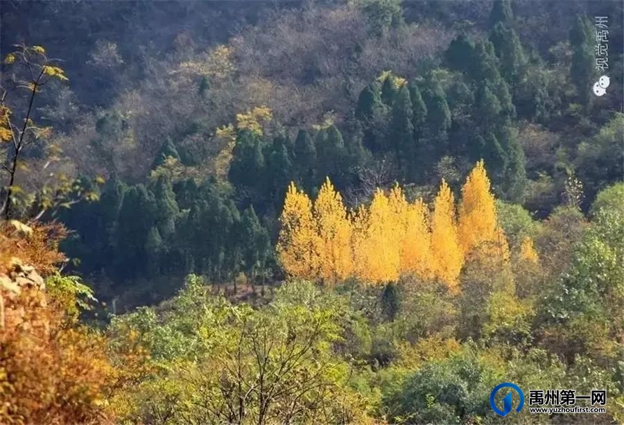 禹州秋季乡村游这几条路线可以选择! 禹州秋季乡村游这几条路线可以选择!