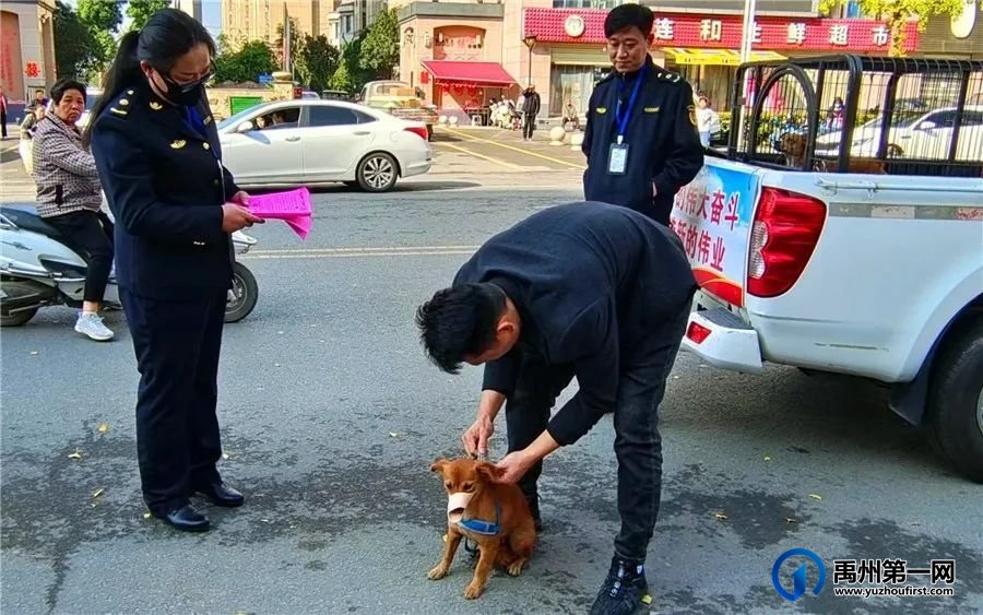 禹州城管“别出心裁”解民忧,这是要火的节奏 禹州城管“别出心裁”解民忧,这是要火的节奏