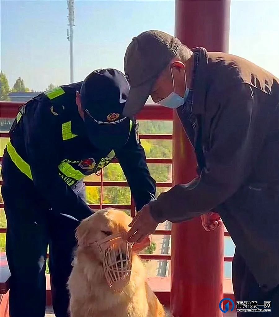 禹州城管“别出心裁”解民忧,这是要火的节奏 禹州城管“别出心裁”解民忧,这是要火的节奏