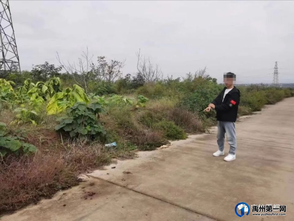 中秋节当天,禹州警方抓获两个偷牛贼 中秋节当天,禹州警方抓获两个偷牛贼