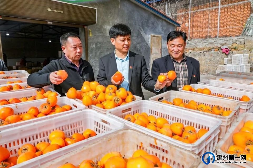 禹州市“柿柿如意•醉美乡村”摄影大赛公告 禹州市“柿柿如意•醉美乡村”摄影大赛公告