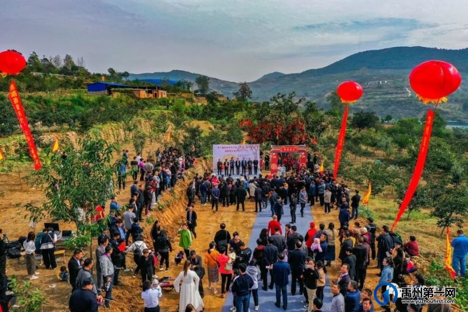 禹州市“柿柿如意•醉美乡村”摄影大赛公告 禹州市“柿柿如意•醉美乡村”摄影大赛公告