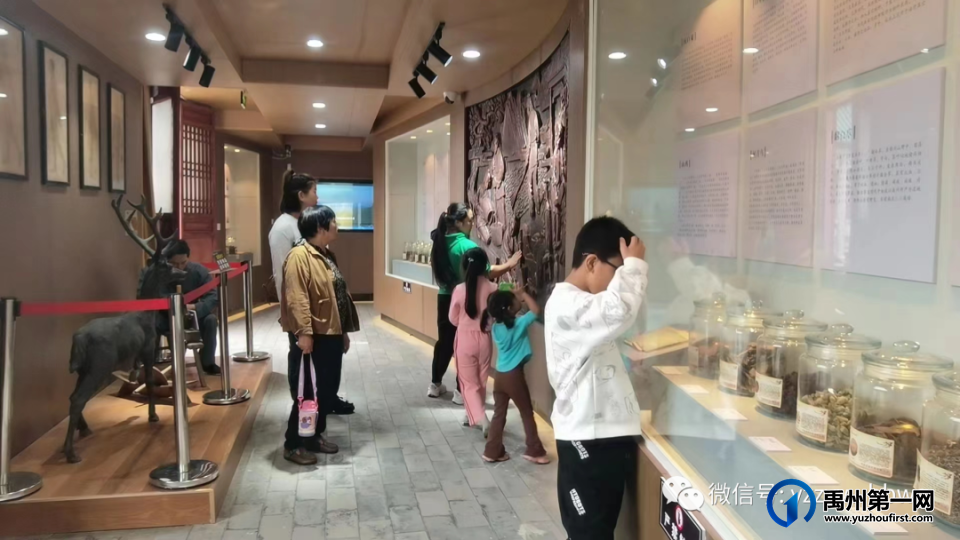 禹州中医药文化博物馆【活动回顾】——博物馆里庆“双节” 禹州中医药文化博物馆【活动回顾】——博物馆里庆“双节”