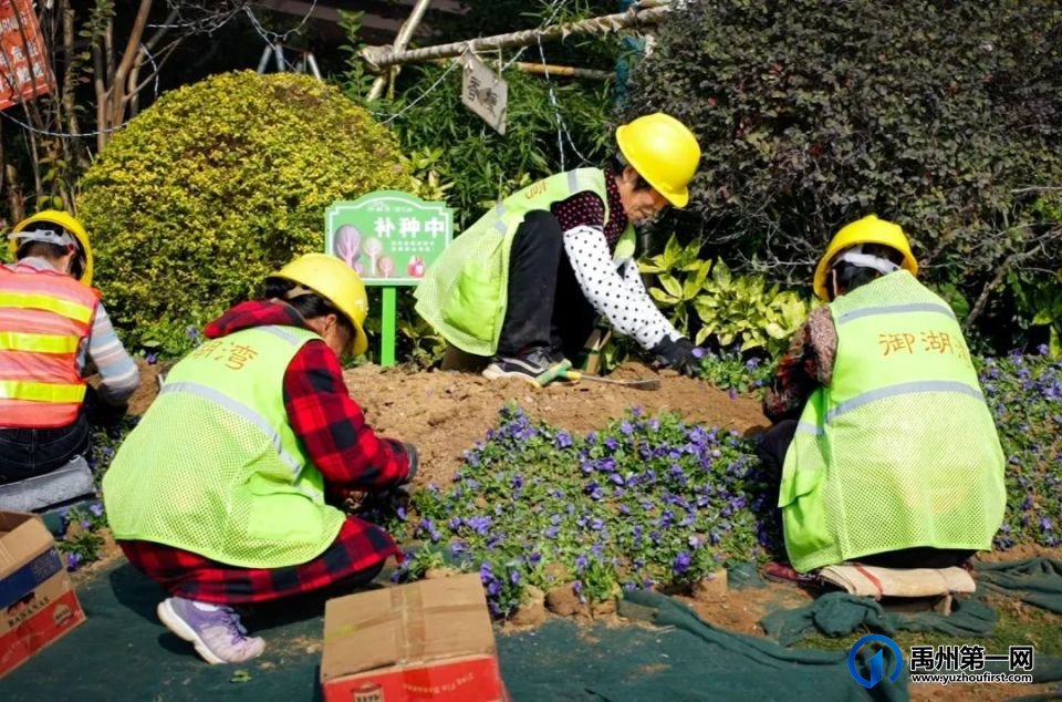 御湖湾为何能让园区的冬季绽放绚丽的色彩? 御湖湾为何能让园区的冬季绽放绚丽的色彩?