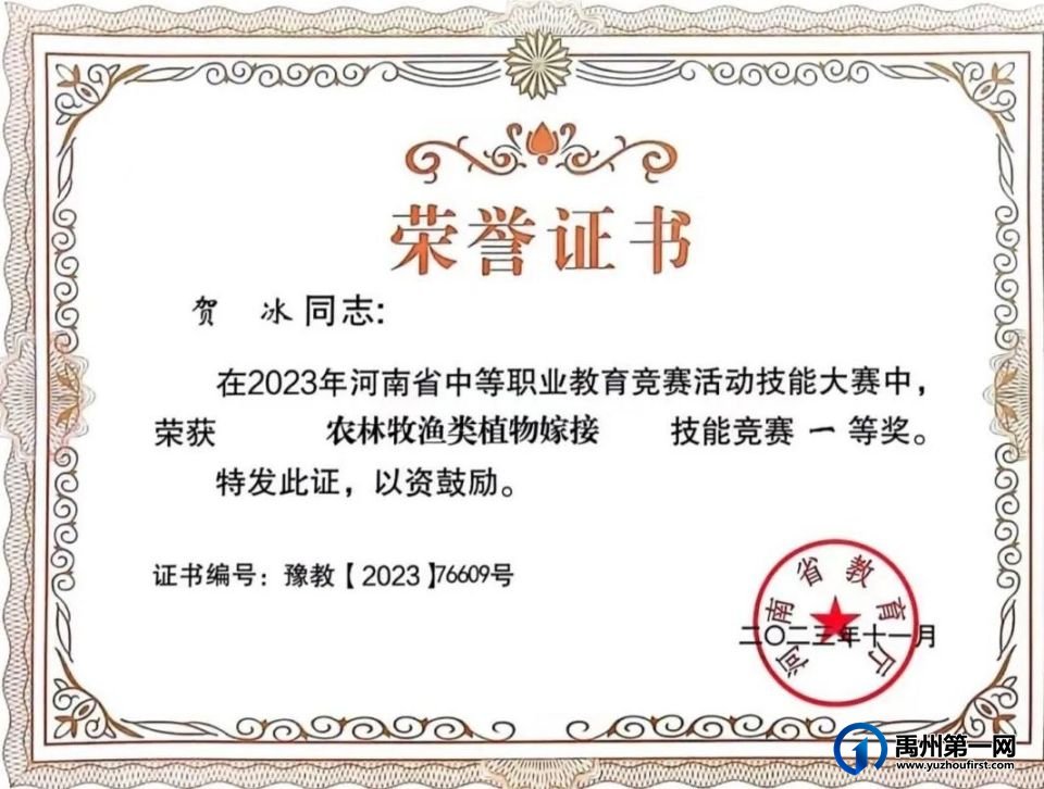 喜获省级68个奖项!禹州中专斩获佳绩! 喜获省级68个奖项!禹州中专斩获佳绩!