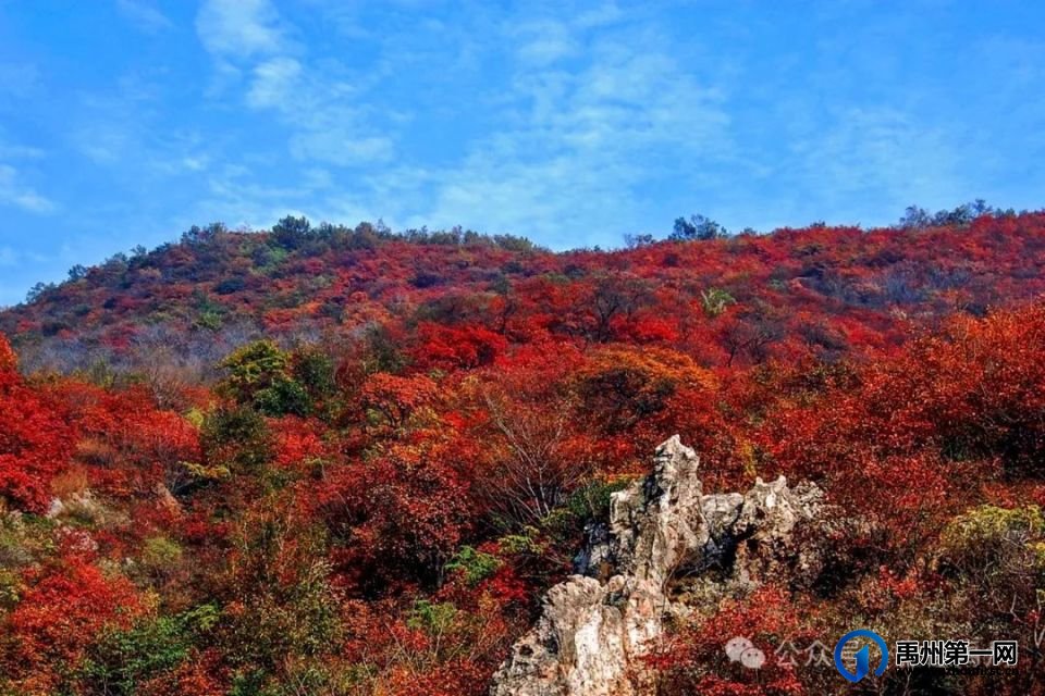 禹州市2024大鸿寨景区红叶节“醉美大鸿寨”摄影大赛启事