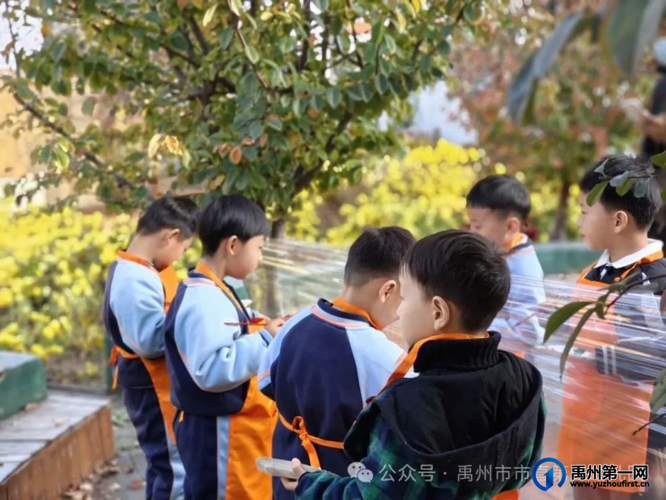 禹州市市直第三中心幼儿园半日开放活动 禹州市市直第三中心幼儿园半日开放活动