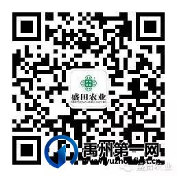 2024年河南省非遗保护培训班实地观摩盛田农业:共探禹州粉条文化精髓 2024年河南省非遗保护培训班实地观摩盛田农业:共探禹州粉条文化精髓