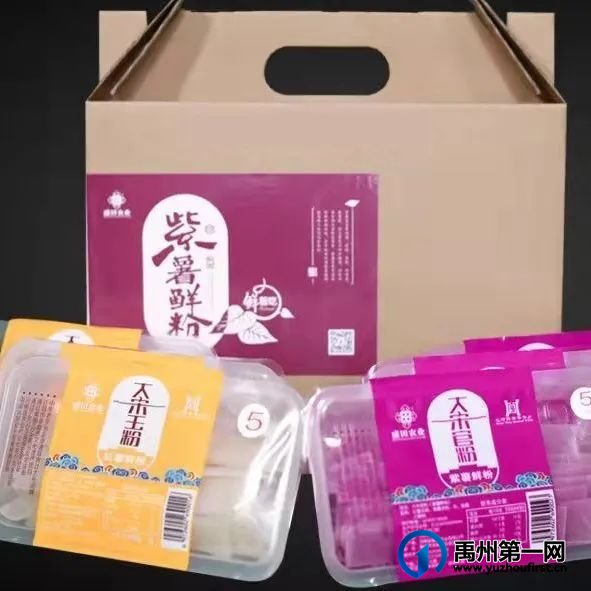2024年河南省非遗保护培训班实地观摩盛田农业:共探禹州粉条文化精髓 2024年河南省非遗保护培训班实地观摩盛田农业:共探禹州粉条文化精髓