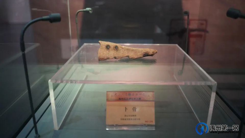 禹州瓦店遗址:揭开4000年前早期夏文化神秘面纱 禹州瓦店遗址:揭开4000年前早期夏文化神秘面纱