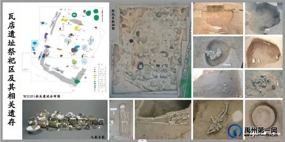 禹州瓦店遗址:揭开4000年前早期夏文化神秘面纱 禹州瓦店遗址:揭开4000年前早期夏文化神秘面纱