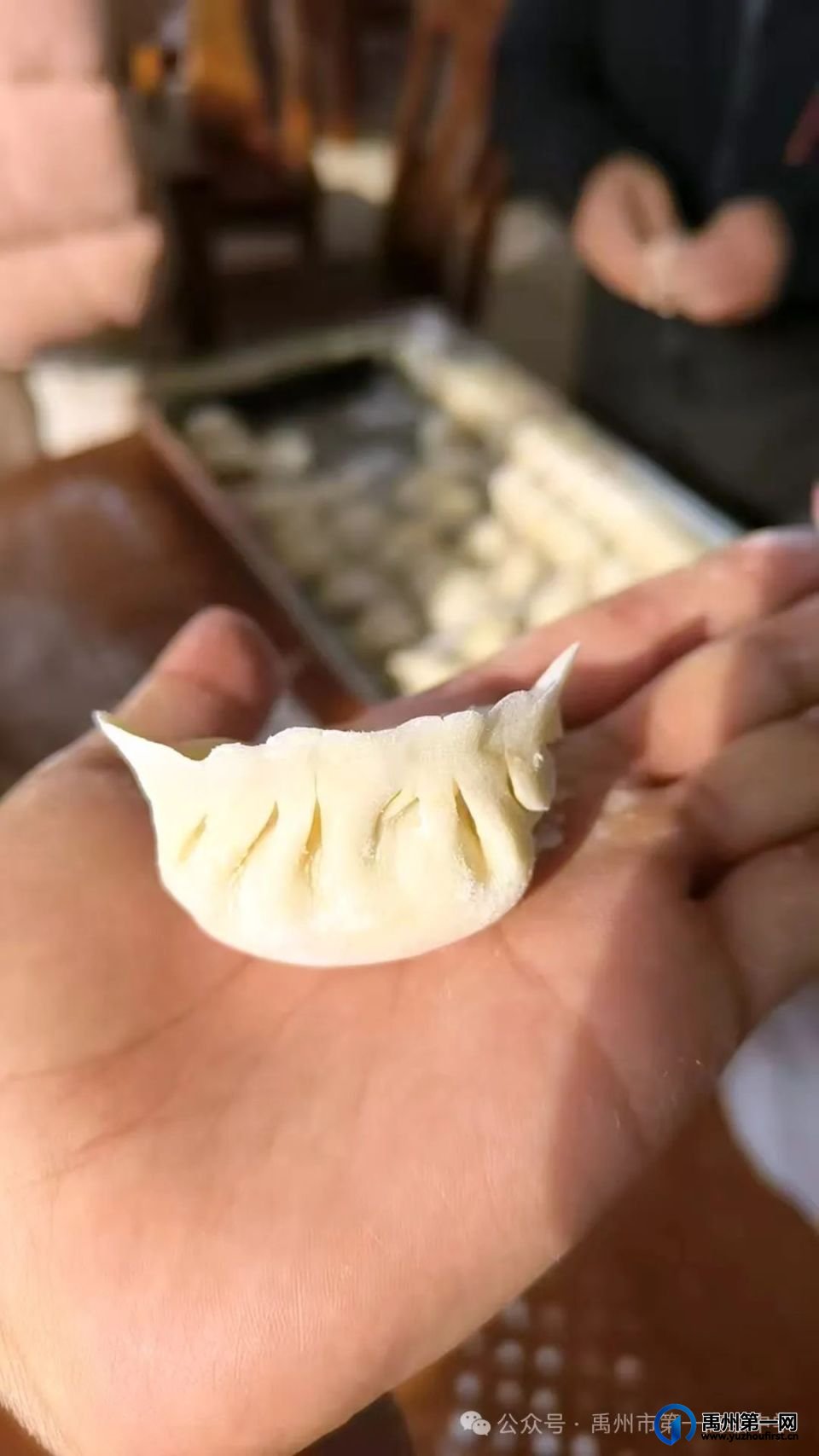 温暖冬至 饺香传情——禹州一高开展教师冬至团建活动
