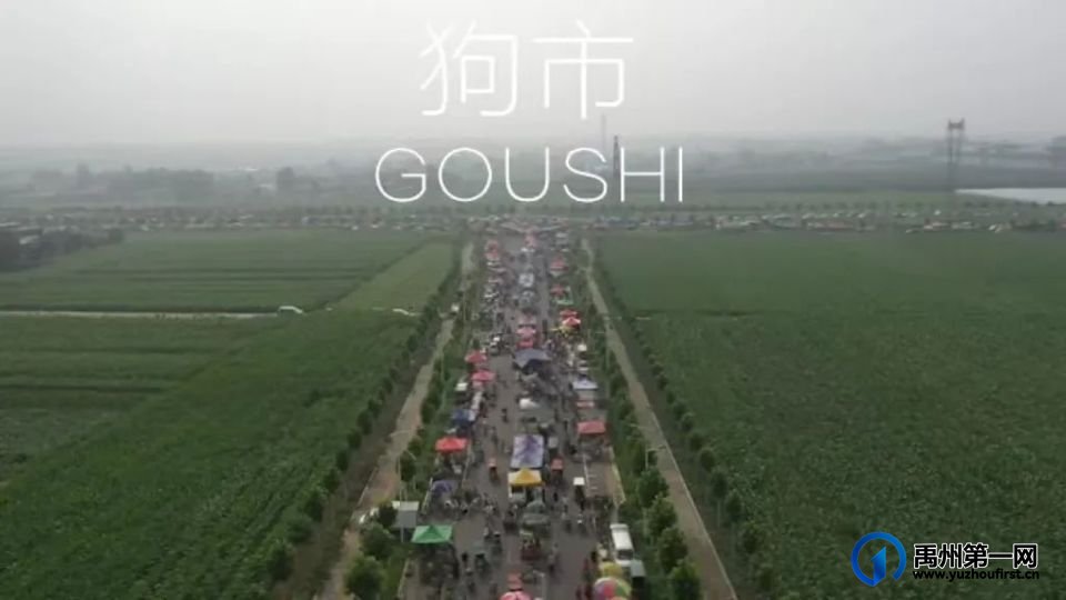 喂！一起去逛禹州“狗市”喽