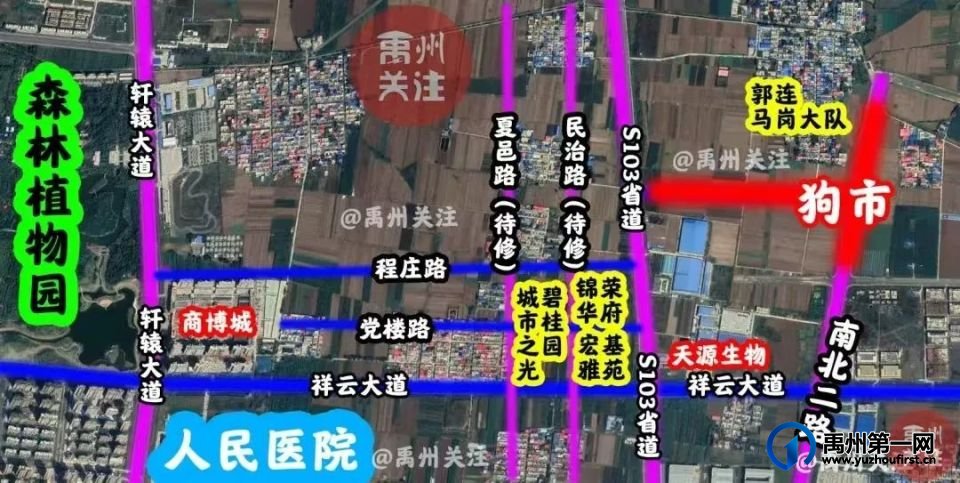 喂！一起去逛禹州“狗市”喽