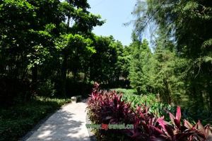 禹州十大旅游景点，第一个你必须去？