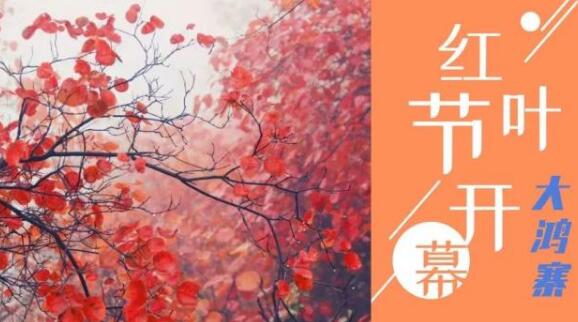 禹州大鸿寨的红叶红了！攻略在这里