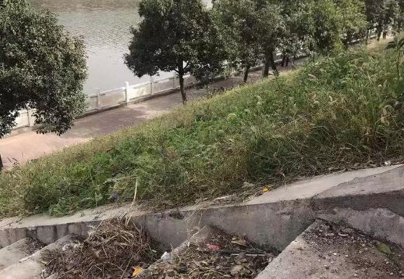 吃惊！禹州北关老桥风景如今成了这样......