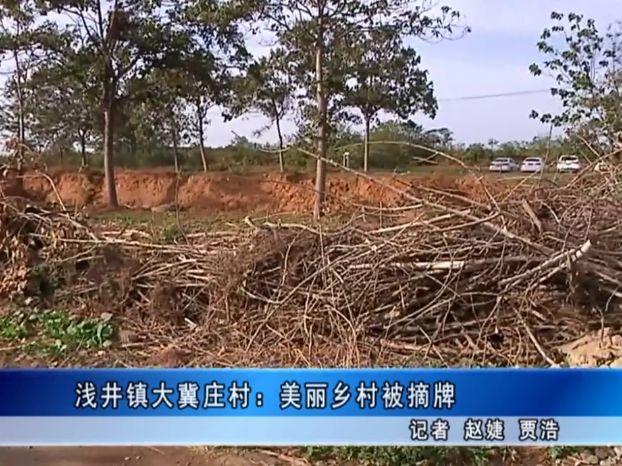 电视台曝光！浅井镇一脏乱不堪的村庄被曝光！