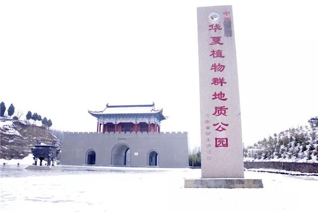 2020春节活动大盘点，禹州人可以去这么多地方玩快收藏！