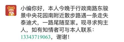 禹州网友为捡到的狗狗找家，这是谁家的可爱狗狗？