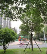 禹州恒达阳光城实景图