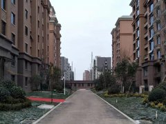 禹州瑞贝卡兴天下实景图