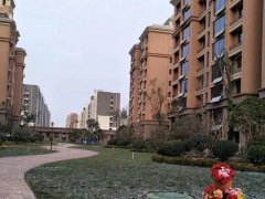 禹州瑞贝卡兴天下实景图