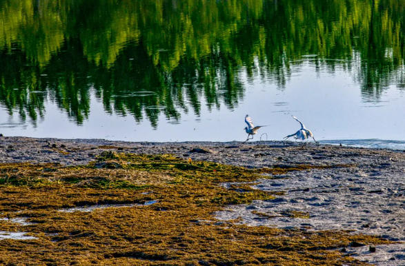 1761643952904303.jpg ScreenShot_2025-10-28_173046_555.jpg