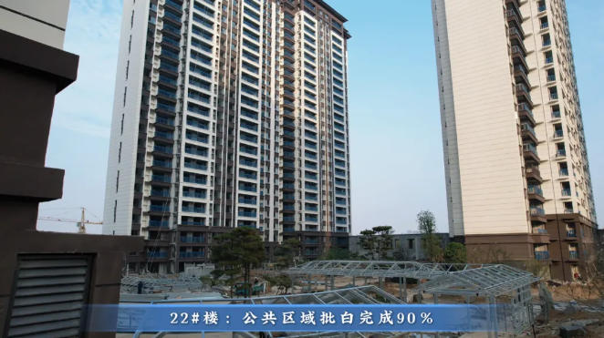 1762483540431191.jpg 9.jpg