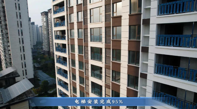 1762483547771882.jpg 10.jpg