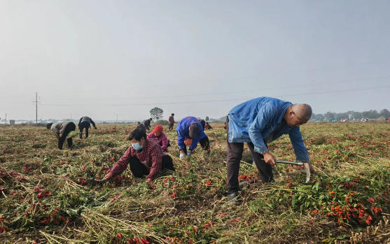 1763368452959361.jpg ScreenShot_2025-11-17_163353_176.jpg