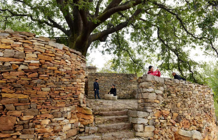 1763948541548983.jpg ScreenShot_2025-11-24_094200_622.jpg