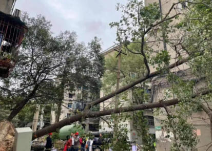 1764154316498382.jpg ScreenShot_2025-11-26_185132_688.jpg